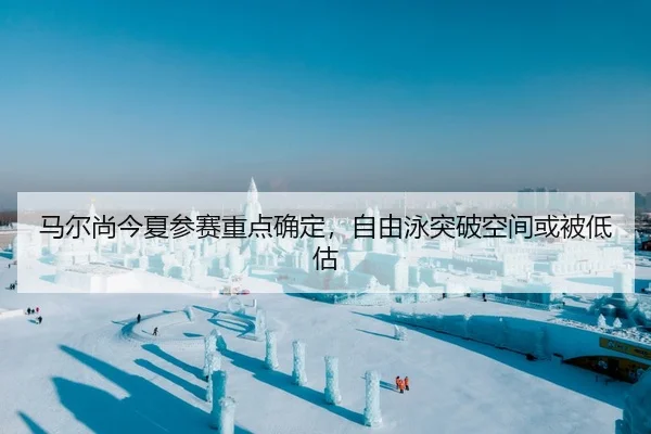 马尔尚今夏参赛重点确定，自由泳突破空间或被低估