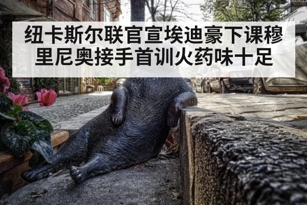 纽卡斯尔联官宣埃迪豪下课穆里尼奥接手首训火药味十足